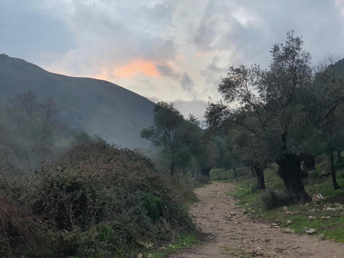 הפינה שלה -Hapina Shella ראש פינה העתיקה Villa ภายนอก รูปภาพ